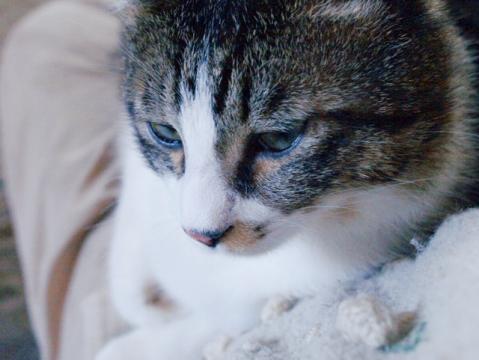 20120413_06.jpg
