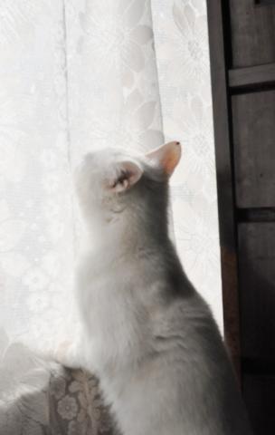 himeちゃん328 021