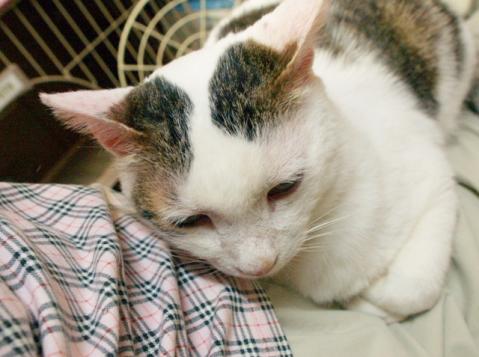 20120501_50.jpg