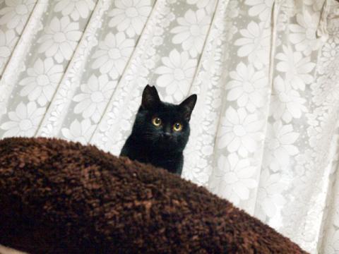 20130103_01_20130126024435.jpg