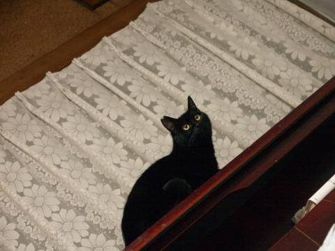 20130120_11.jpg