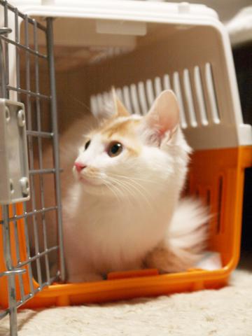 20130120_13.jpg