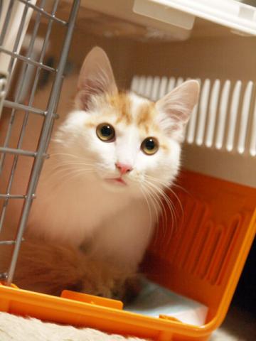 20130120_21.jpg