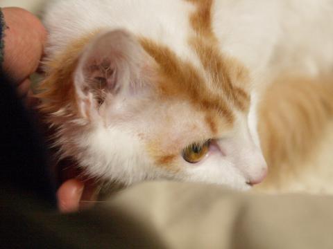 20130120_46.jpg