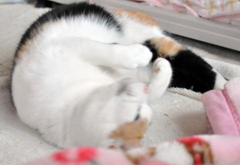 20130127_01.jpg