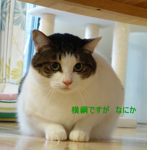 20140125_02.jpg