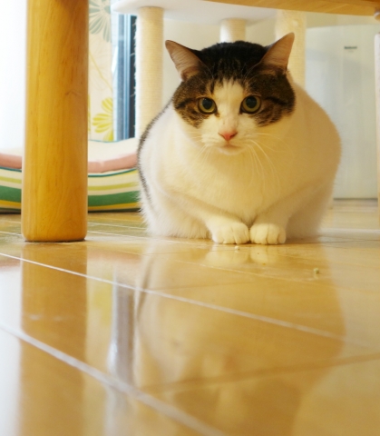 20140125_05.jpg
