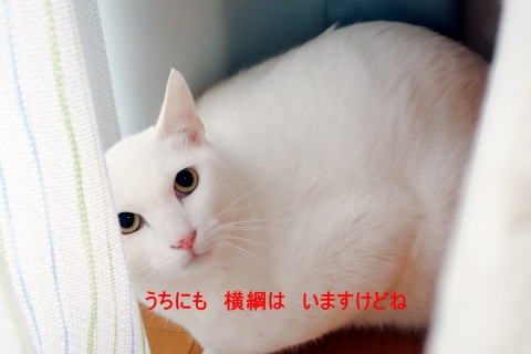 20140125_07.jpg