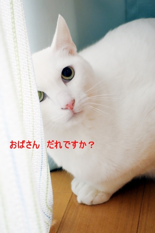 20140125_08.jpg