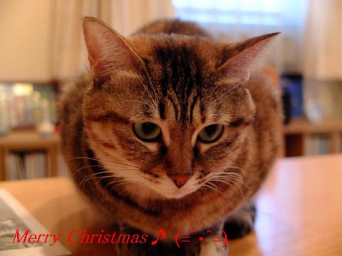 Christmas028.jpg