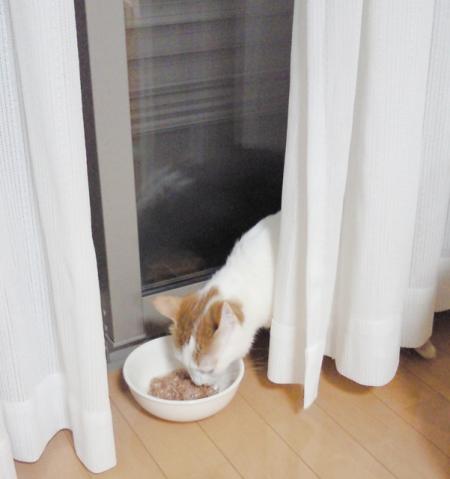 ニュイ当日の夜ごはん