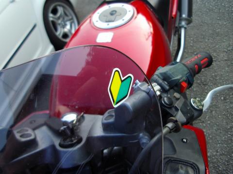 s-IMGP0321.jpg