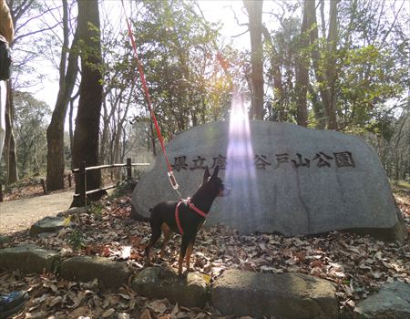 谷戸山公園