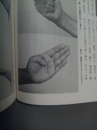 140204_真蔭流の手刀