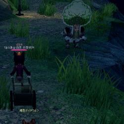 mabinogi_2011_09_28_061.jpg