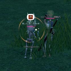 mabinogi_2011_10_07_016.jpg