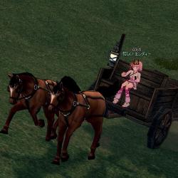mabinogi_2011_10_08_020.jpg