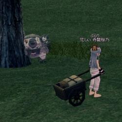 mabinogi_2011_10_11_002.jpg
