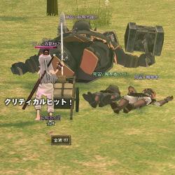 mabinogi_2011_10_14_009.jpg