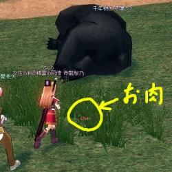 mabinogi_2011_10_22_033.jpg