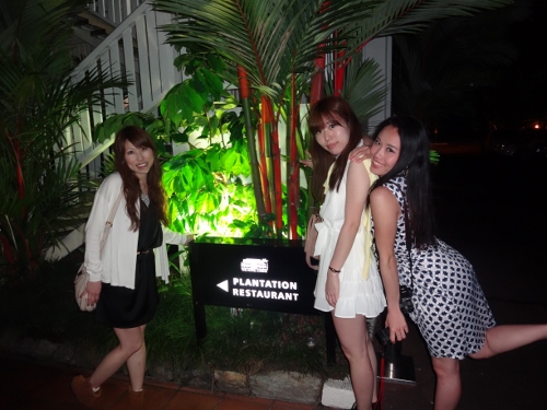 DSC06438 (500x375)