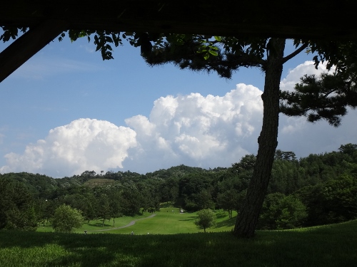 DSC01590 (500x375)