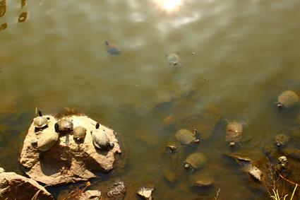 IMG_5879.jpg