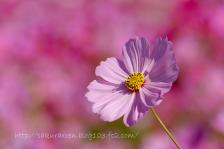201110210120.jpg