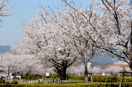 2013040502.jpg
