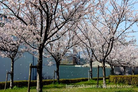 2013040503.jpg