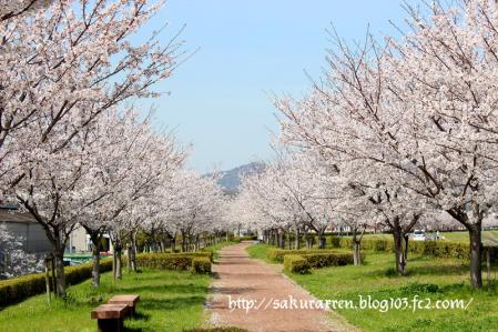 2013040508.jpg