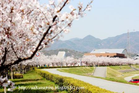 2013040509.jpg