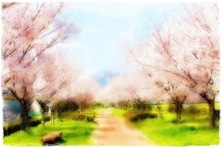2013040513.jpg