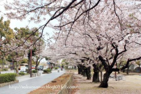 2013040702.jpg