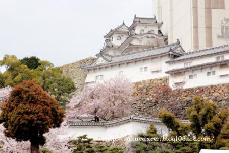 2013040706.jpg