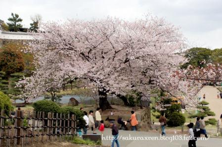 2013040707.jpg