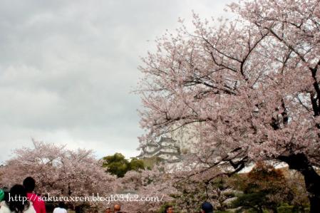2013040708.jpg