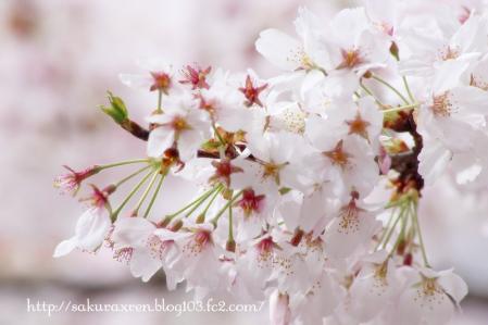 2013040712.jpg