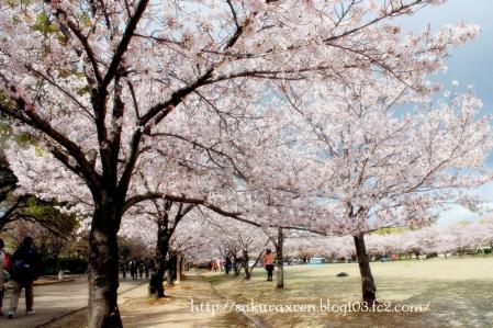 2013040716.jpg