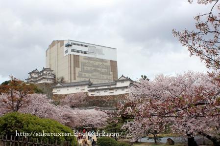 2013040725.jpg