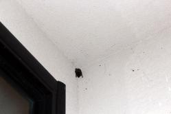 2013071401.jpg