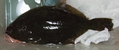 DSCF1886.jpg