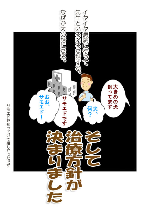 サモエドとシェルティーの写真マンガ