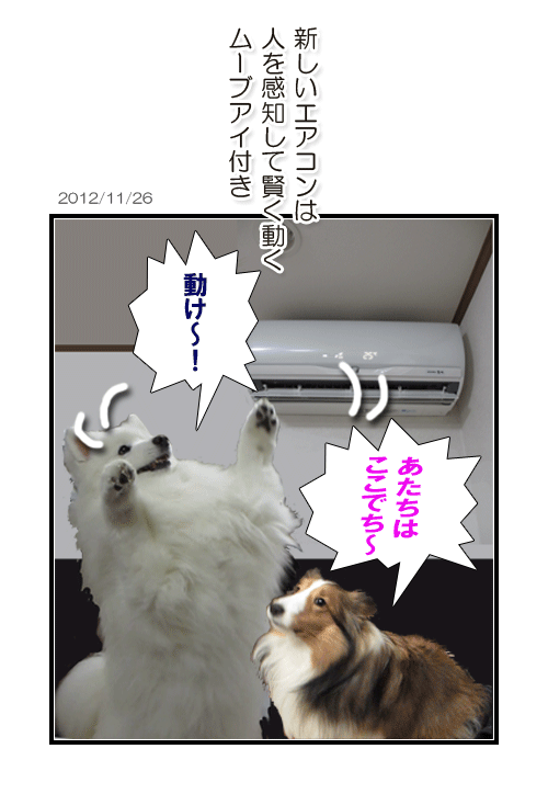 サモエドとシェルティーの写真マンガ