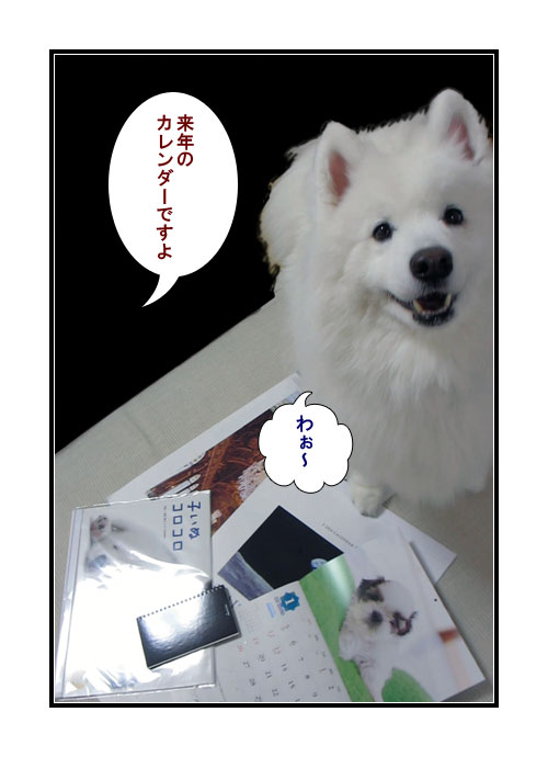 サモエドの写真マンガ(2014年のカレンダー)