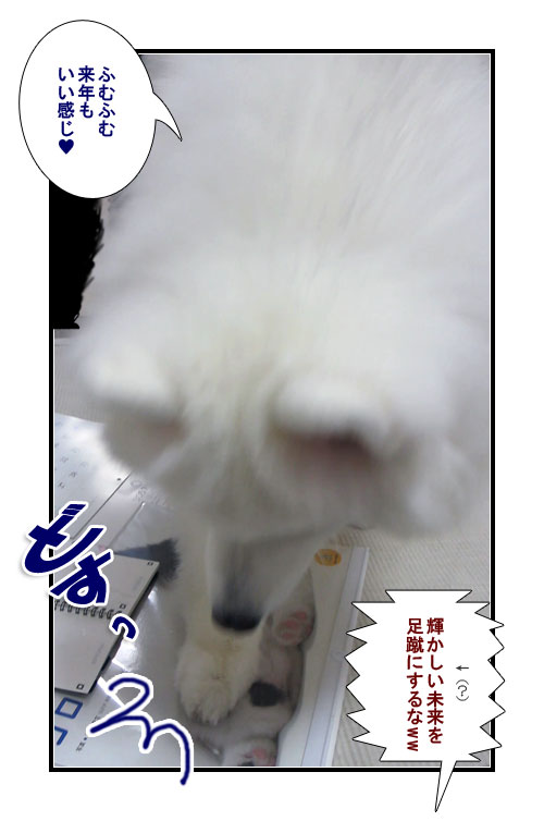 サモエドの写真マンガ(2014年のカレンダー)