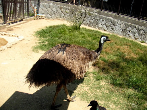 クロムハーツと動物園 (8)