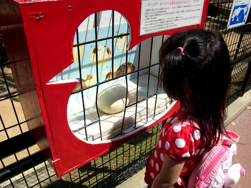 クロムハーツと動物園 (12)