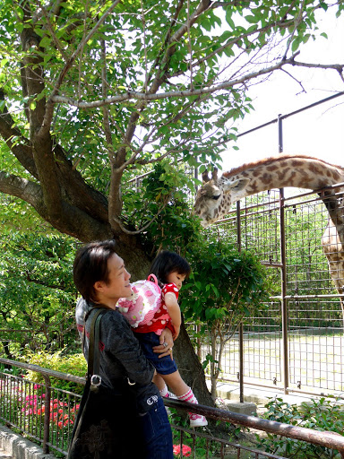クロムハーツと動物園 (32)