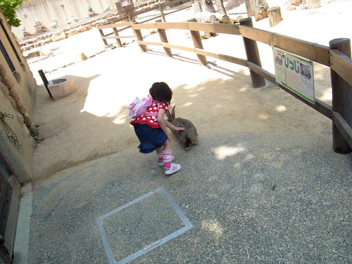 クロムハーツと動物園 (28)